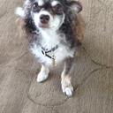 Jay Dick - @JayMDick - Twitter