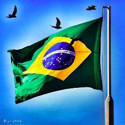 SheylaMenezes's profile picture. 