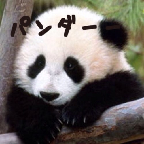 daikiwwe6190010's profile picture. バスケ、はよ、追いつかんと汗ε=ε=ε=ε=ε=ε=┌(;￣◇￣)┘