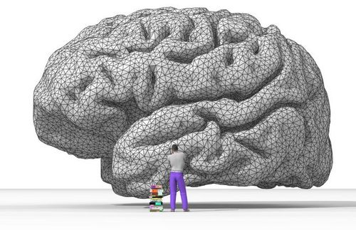 DeSymposium's profile picture. What Drives Brain ?