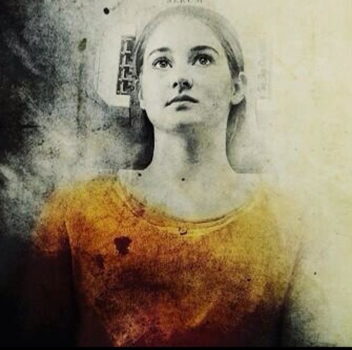 Tris, 16 años. Era de Abnegación pero me fui a Osadía. Maté a Will. Apuñalé a Eric. Iba a morir pero Peter me salvó. Mi hermano me traicionó. Soy divergente.