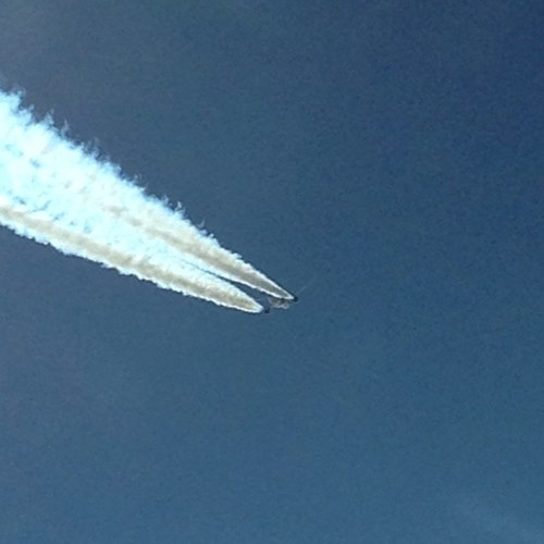 GordieGuy's profile picture. 