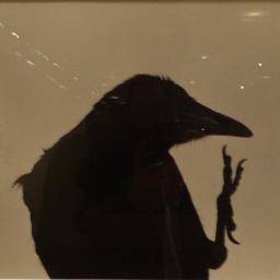 kekeilke's profile picture. 