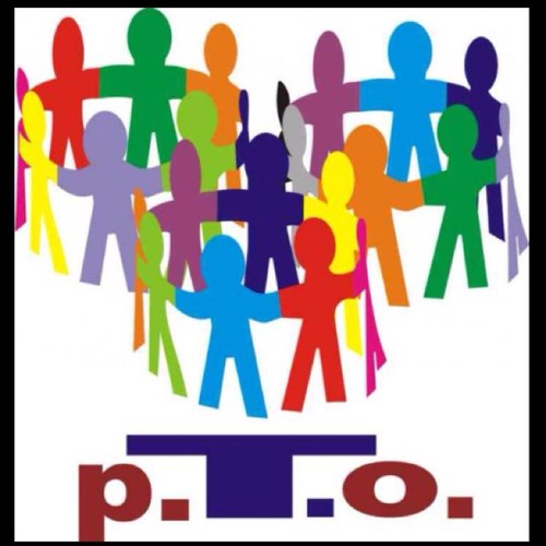PARTIDO POLITICO