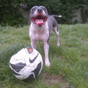 Peter ansell - @Afc_wee - Twitter