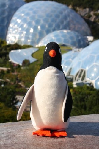 Philippepenguin's profile picture. Originally from Patagonia, I live with @buffybat, I have a twin brother called Pedro, I love fish and the beautiful Shakira