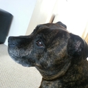 Victoria Holmes - @DaisyLewis99 - Twitter