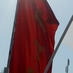 turgayufat (@kanlicadde) Twitter profile photo