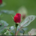 Albert Turner - @Kinkazote - Twitter