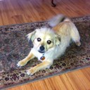 Silvia Miller - @silsbmllr1 - Twitter