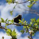 Jen Nash - @126Nash - Twitter