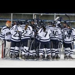 Division I College Hockey