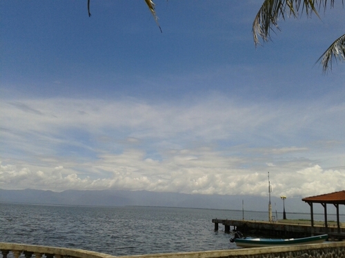 herberchoco's profile picture. 