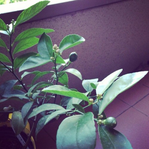 klavi099's profile picture. 