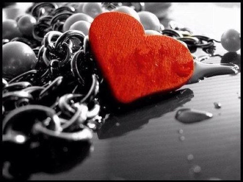 عِيشُوآ بقلبَ أبيَض و نَيہ حسَنہ ،وَ لسَآن لا يَقطرُ إلآ خَيراً ،، فَ ليسَ عَلىَ آلدُنيآ بقَاء .. !