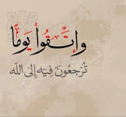 saeedg7500's profile picture. 