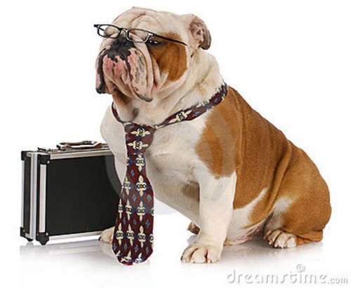 Bringing you discounts and vouchers via discount websites. If you want your discounts tweeted by discount dog DM me.