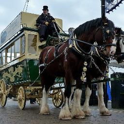 The most unique horse drawn experience in the UK for weddings, rides, advertising boards, promotional events and more. Find out more http://t.co/Pk7BwecI9M