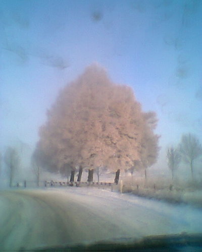 elbersjj's profile picture. 