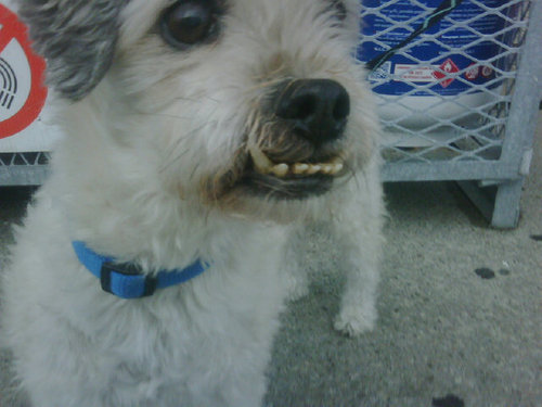 ROSERITZCRACKER's profile picture. 