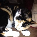 Sheila Ligon - @saligon325 - Twitter