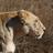 hassknecht45's profile image