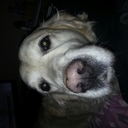 OLIVIER BRUN - @BRUNOllivieer - Twitter