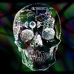 LibraryofGhosts Profile Picture