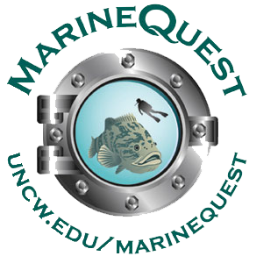 More than just another day at the beach; MarineQuest is making waves in environmental education!  #UNCWMarineQuest #ILM