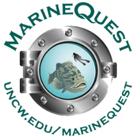 MarineQuest UNCW (@marinequestuncw) 's Twitter Profile