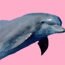 tbhjuststop_ Profile Picture