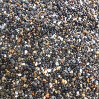 Mark Berlin (@mark_berlin) 's Twitter Profile