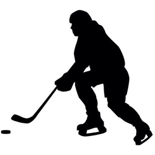 A new Twitter account, talking hockey and what not.  Trying to cover more than just the popular teams. Give it a chance here!