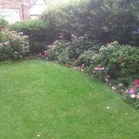 Colin Welsh (@colinwelsh3) 's Twitter Profile Photo