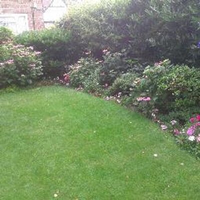 ColinWelsh3's profile image