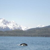 Jolan (@anchorage2011) 's Twitter Profile