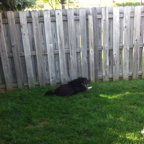 Darlene87833559's profile picture. Mary new cat