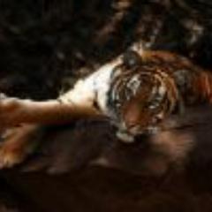 Writer.
http://t.co/rjh0r4fsNZ