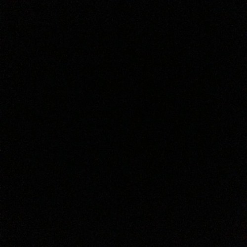 LexiiRayne's profile picture. 