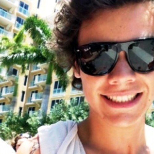 sofakeharry's profile picture. Back up for @thisfalseharry