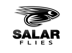 SalarFlies Profile Picture