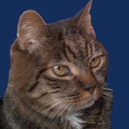 Shelli is an avid writer and animal lover. She also loves to travel!