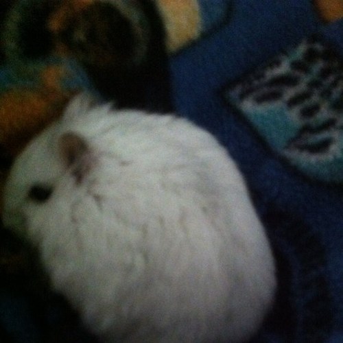 katniss6789's profile picture. 