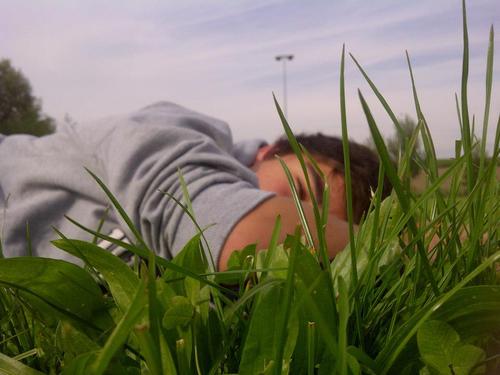 yoannStroob's profile picture. 