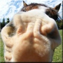 Waldo Kelley - @WaldoKelley3 - Twitter