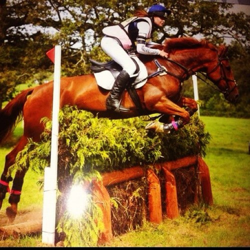 dani_vicki_'s profile picture. 22 year old - Lot of Love for my Horses & following Eventing - Owner of #minkeystweed