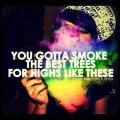 Chequan.ll ..I tell A bad bitch do whatever I say .:$ ll..Mt.Carmel. Aint nobody fucking with my clique 
Legoooo~~~~plz follow back