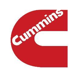 CumminsCummins1's profile picture. Cumin is better then stroking