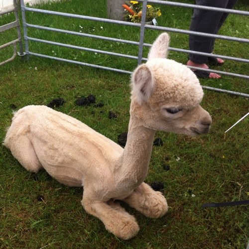 Katie1975's profile picture. 