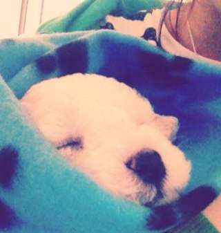 caitlyngdenley's profile picture. 